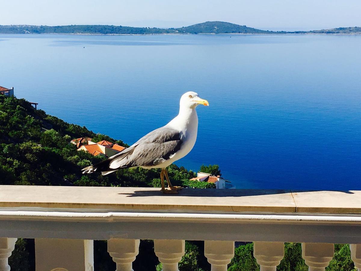 Apartments Jasmina Vinišće Zewnętrze zdjęcie